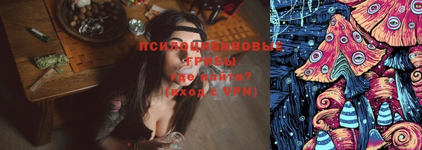 дживик Арсеньев
