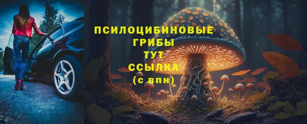 Альфа ПВП Аркадак