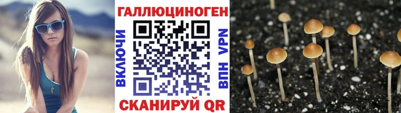 Псилоцибиновые грибы MAGIC MUSHROOMS  купить   Шарья 